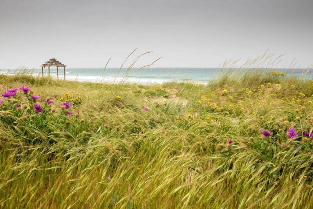 Cabana La Palmerita En Playa El Palmar El Palmar  Kültér fotó